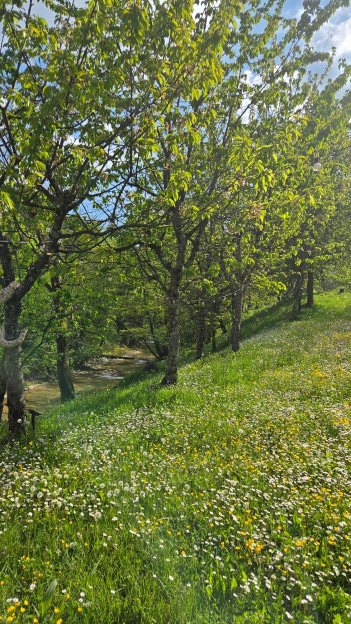 Borgo Corniola B&B Naturista Marradi Dış mekan fotoğraf