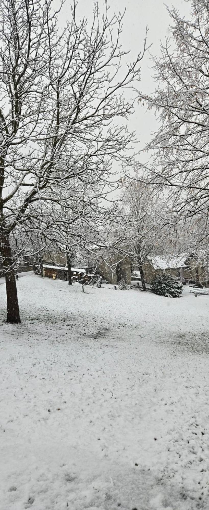 Borgo Corniola B&B Naturista Marradi Dış mekan fotoğraf