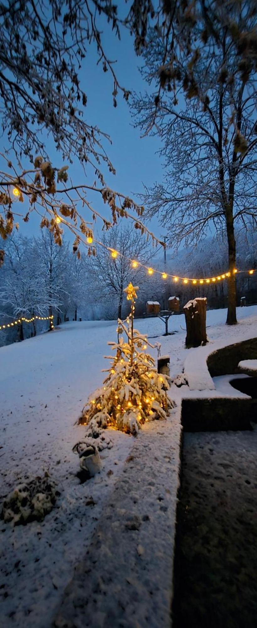 Borgo Corniola B&B Naturista Marradi Dış mekan fotoğraf