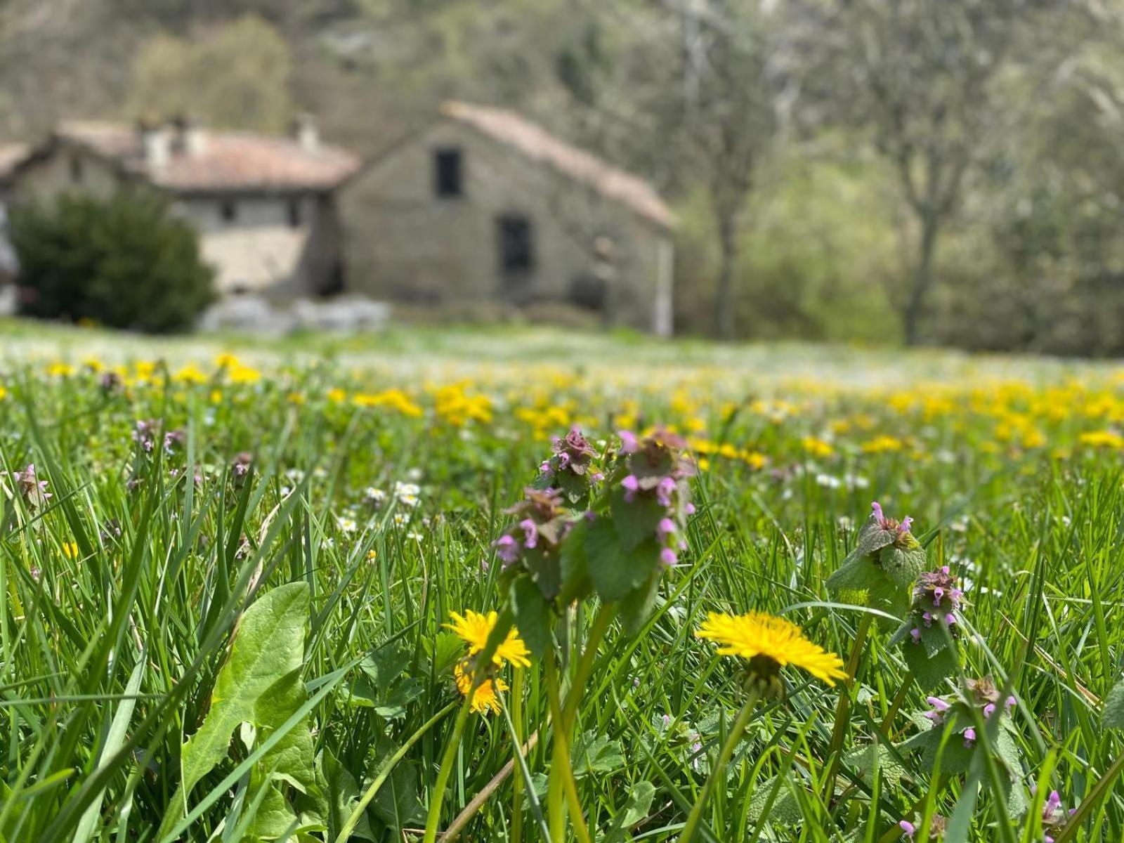 Borgo Corniola B&B Naturista Marradi Dış mekan fotoğraf