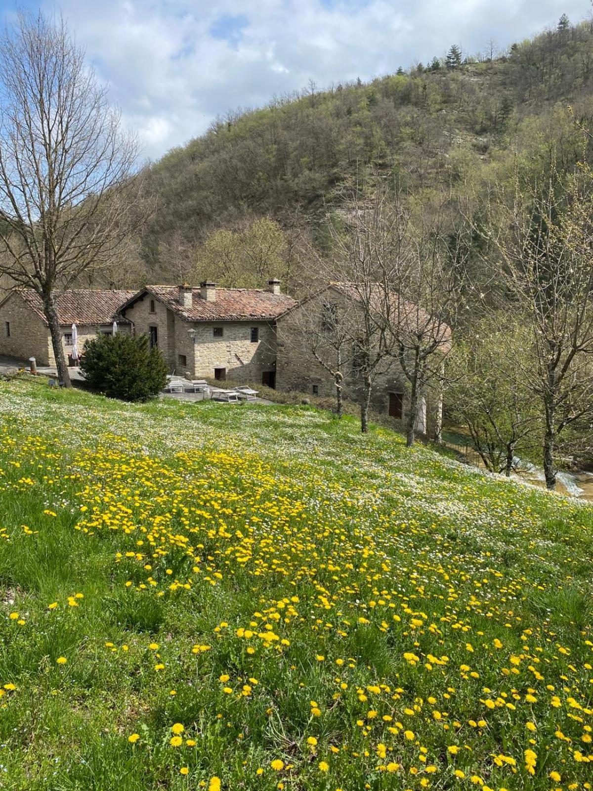 Borgo Corniola B&B Naturista Marradi Dış mekan fotoğraf