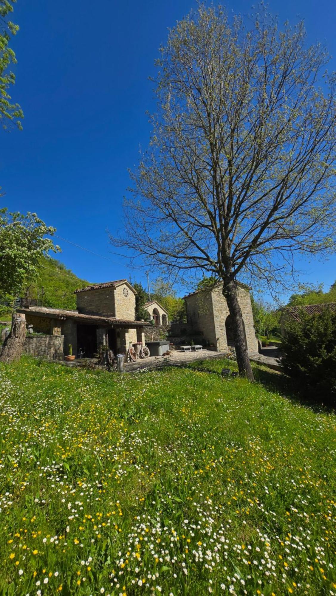 Borgo Corniola B&B Naturista Marradi Dış mekan fotoğraf